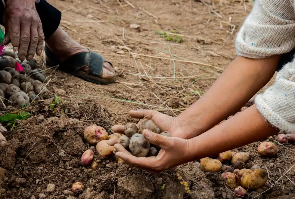 El trabajo con los productores locales